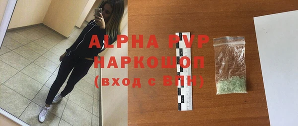 ГАЛЛЮЦИНОГЕННЫЕ ГРИБЫ Корсаков