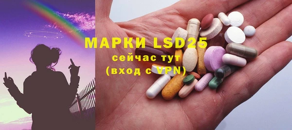 ГАЛЛЮЦИНОГЕННЫЕ ГРИБЫ Корсаков