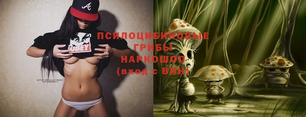 спиды Костерёво