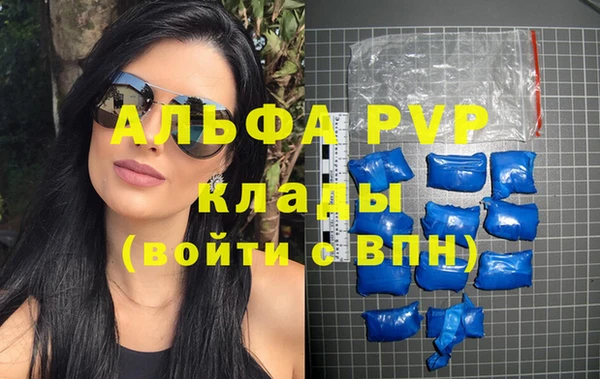 apvp Коряжма