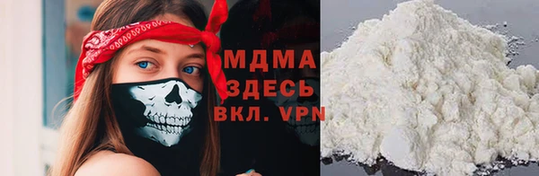 индика Козловка