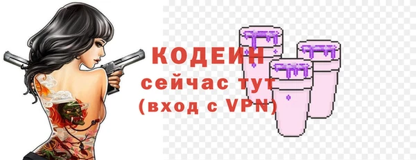 ГАЛЛЮЦИНОГЕННЫЕ ГРИБЫ Корсаков