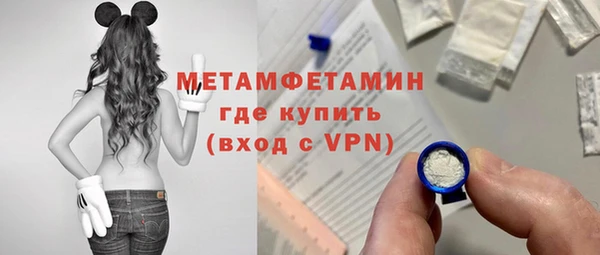 индика Козловка