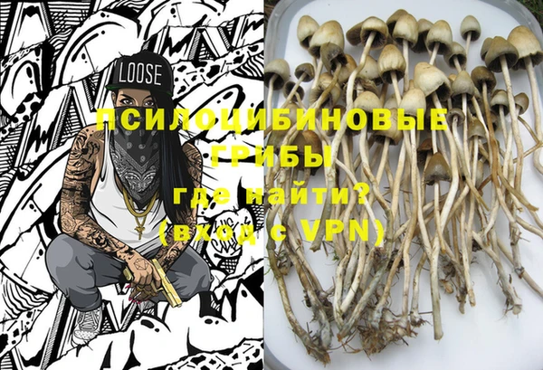 дживик Козельск
