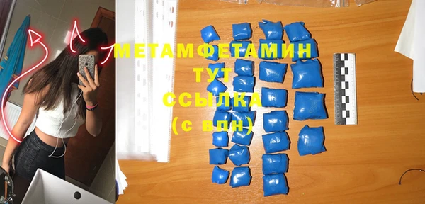 ГАЛЛЮЦИНОГЕННЫЕ ГРИБЫ Корсаков