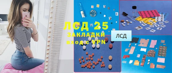 ГАЛЛЮЦИНОГЕННЫЕ ГРИБЫ Корсаков