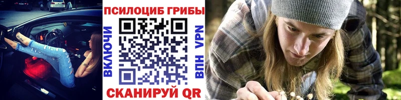Галлюциногенные грибы Psilocybe  Купить закладки  Аткарск 